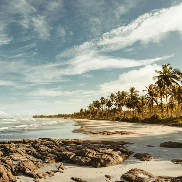 pexels-jonathanborba-35788555 (1)